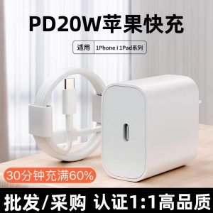 PD Fast Charger 9V/2.2A with Cable for Apple