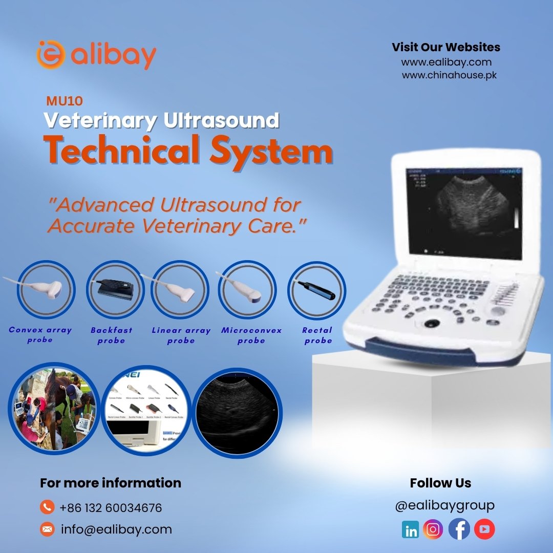 Veterinary Ultrasound System Technical