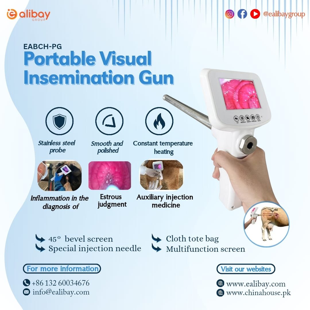 WhatsApp Image 2025-08-07 at 13.19.31_7b10ae0c