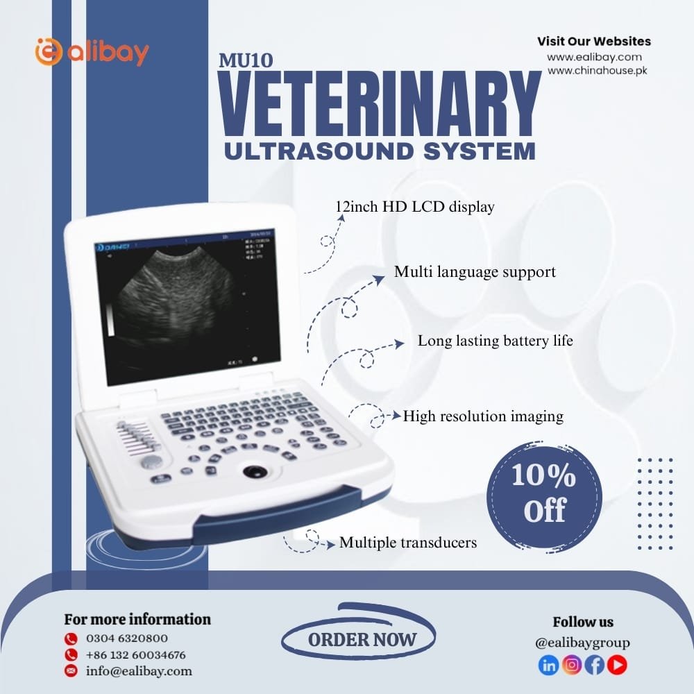 WhatsApp Image 2025-08-24 at 22.00.19_137b9780