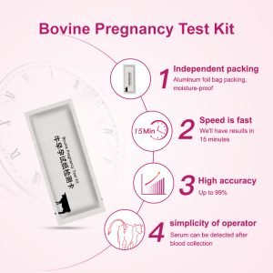 Cow Pregnancy Detection Kit – Veterinary Bovine Early Blood Test