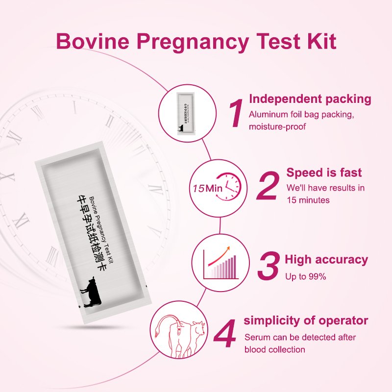 Cow Pregnancy Detection Kit – Veterinary Bovine Early Blood Test